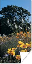 Poster Bloemen - Natuur - Kleur - 20x40 cm