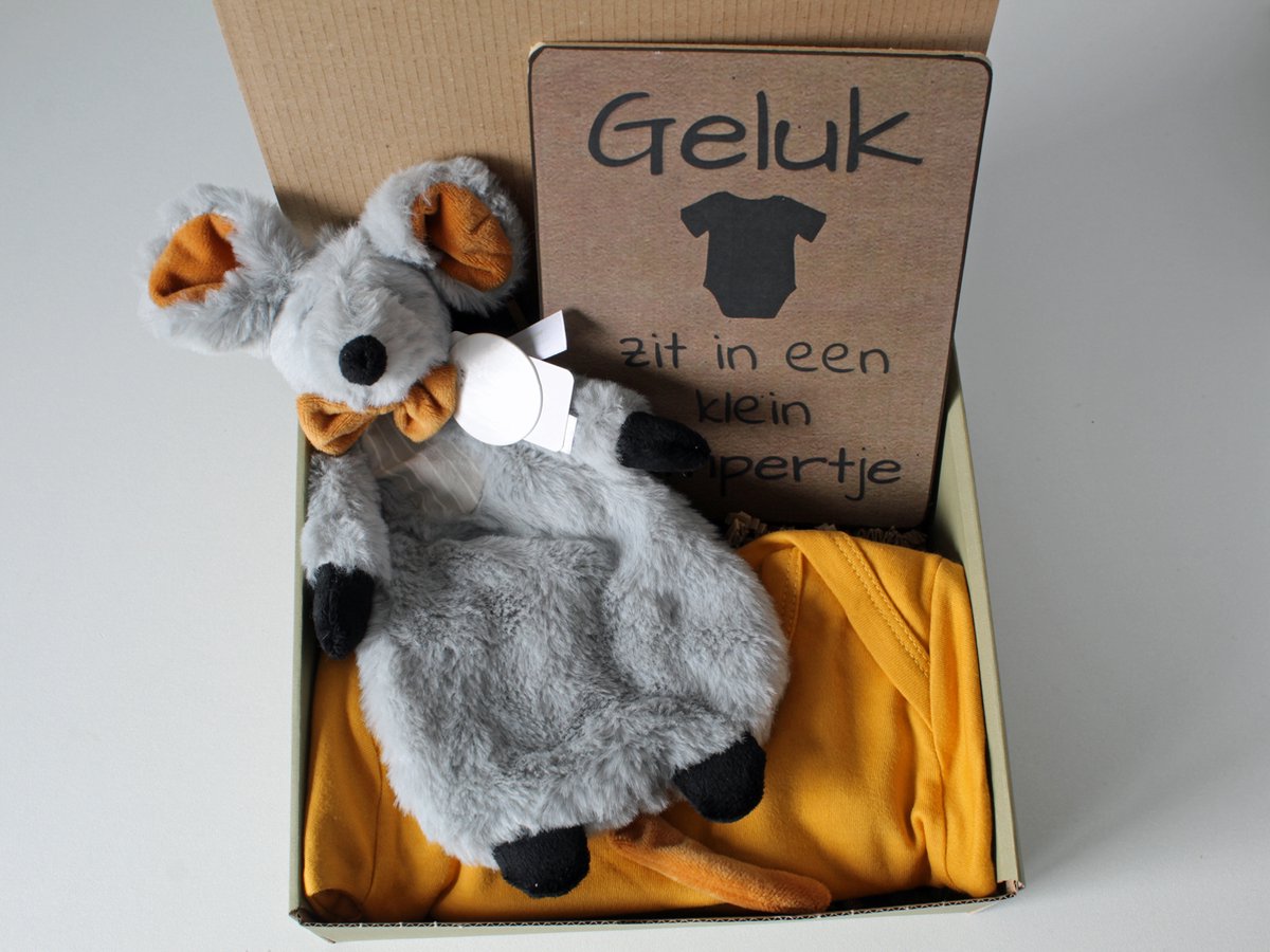 Goedkoopste Minibox Mouse Misty - cadeau zwangerschap - kraamcadeau - cadeau babyshower
