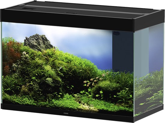 Kantine raken valuta Ciano Aquarium set Emotions Pro 80 LED - Wit - 81,2 x 40,2 x 56cm | bol.com