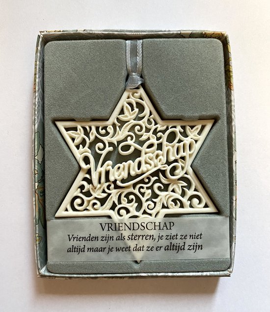 H&&H Inspirerende woorden hanger "Vriendschap" Gift in Stervorm