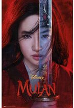 Poster Disney Mulan One Sheet 61x91,5cm