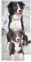 strandlaken Dogs 70 x 140 cm katoen zwart/grijs/wit