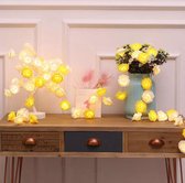 Led lampjes slinger - Bloemen - 3 meter - 20 lichtjes - Rozen - Wit en geel gemengd - Warm licht - Bruiloft - Batterij
