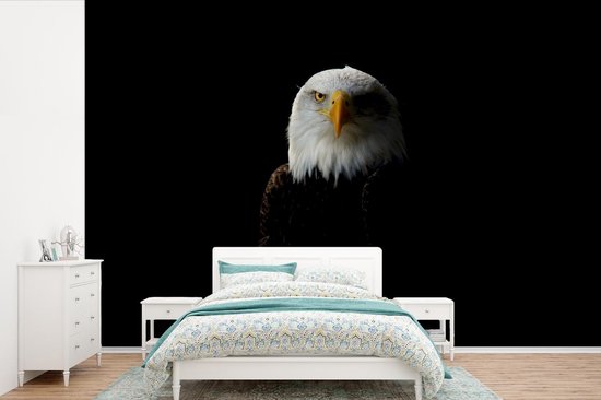 Papier peint photo vinyle - Portrait d'un aigle sur fond noir largeur 360 cm x hauteur 240 cm - Tirage photo sur papier peint (disponible en 7 tailles)