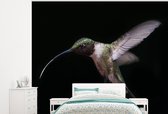Behang - Fotobehang Kolibrie - Vogel - Veren - Breedte 275 cm x hoogte 220 cm