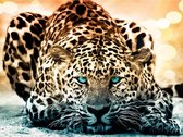 Diamond Painting World - Liggende luipaard – 30x40cm - Diamond painting - Diamond painting pakket – volledig bedekt – Volwassenen