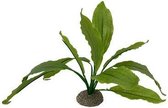 Aquariumplant kunststof Echinodorus groen 24 cm