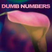 Dumb Numbers - Dumb Numbers (LP)