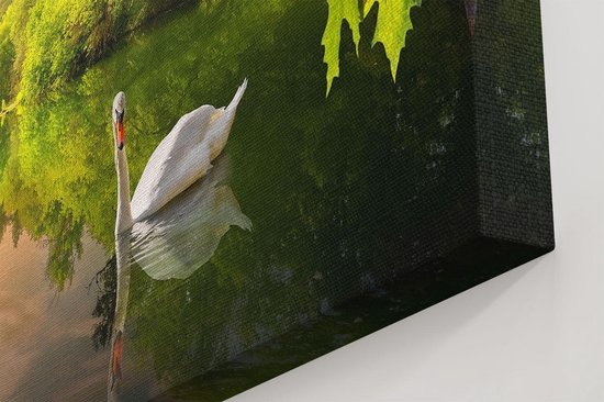 Artaza Peinture sur Toile Cygne sur l' Water dans la Forêt - 20x30 - Klein - Photo sur Toile - Impression sur Toile