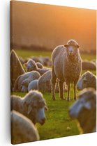 Artaza - Peinture sur toile - Troupeau de moutons au coucher du soleil - 40x50 - Photo sur toile - Impression sur toile