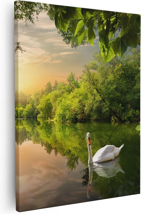 Artaza - Canvas Schilderij - Zwaan op het Water in het Bos - 40x50 - Foto Op Canvas - Canvas Print
