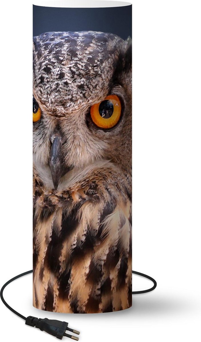 Lamp - Nachtlampje - Tafellamp slaapkamer - Uil - Vogel - Blauw - 50 cm hoog - Ø15.9 cm - Inclusief LED lamp