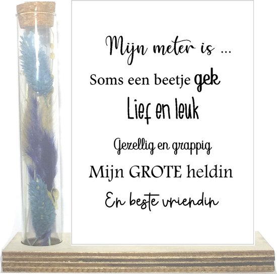 Droogbloemen in buisje liefste Meter | blauw | liefste Meter | allerliefste Meter | meter vragen |  meter worden | cadeau | de liefste