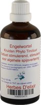 Engelwortel tinctuur - 100 ml - Herbes D'elixir