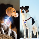 Professor Q - Verlichting Hond - Led Lampje Honden - Lampje Hondenhalsband - Honden Lampje Halsband - Hondenlampje - Blauw