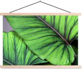 Posterhanger incl. Poster - Schoolplaat - Foto van grote tropische botanische bladeren - 150x100 cm - Blanke latten