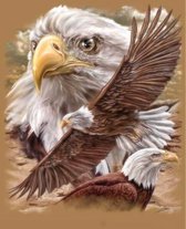 TOPMO -Powerful Eagle- Diamond painting- HQ Diamond Painting pakket - VOLLEDIG dekkend - Diamant Schilderen - voor Volwassenen – ROND- 40X50CM