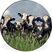Ciel gris au dessus du troupeau de vaches frisonnes Cercle mural aluminium ⌀ 90 cm - tirage photo sur cercle mural / cercle vivant / cercle de jardin (décoration murale)