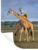 Muurstickers - Sticker Folie - Giraffes - Dieren - Natuur - 60x80 cm - Plakfolie - Muurstickers Kinderkamer - Zelfklevend Behang - Zelfklevend behangpapier - Stickerfolie