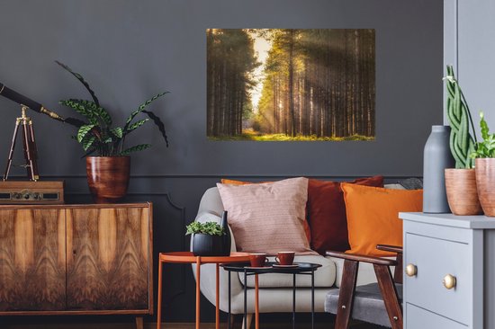 Sticker Muursticker Forêt - Rayons de soleil le long des grands arbres - 90x60 cm - film adhésif autocollant - sticker mural repositionnable