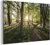 Wanddecoratie Metaal - Aluminium Schilderij Industrieel - Bos - Boom - Zon - 180x120 cm - Dibond - Foto op aluminium - Industriële muurdecoratie - Voor de woonkamer/slaapkamer