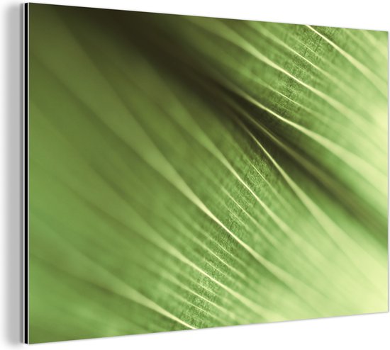 Wanddecoratie Metaal - Aluminium Schilderij Industrieel - Macrobeeld van groen botanisch blad - 120x80 cm - Dibond - Foto op aluminium - Industriële muurdecoratie - Voor de woonkamer/slaapkamer
