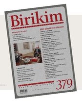 Birikim Dergisi Sayı 379