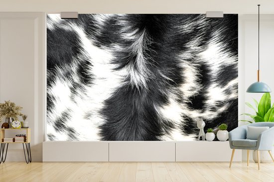 Papier peint Papier peint photo en vinyle - La peau de vache d'une vache longicorne largeur 525 cm x hauteur 350 cm - Tirage photo sur papier peint (disponible en 7 tailles)