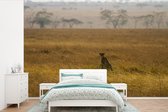 Behang - Fotobehang Jachtluipaard op de savanne - Breedte 330 cm x hoogte 220 cm