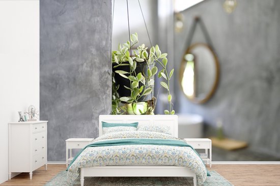 Behang - Fotobehang hangplant in de badkamer - Breedte 600 cm x hoogte 400 cm