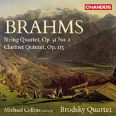 Michael Collins, Brodsky Quartet - Brahms: String Quartet/Clarinet Quintet (CD)