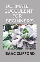 Ultimate Succulent for Beginner's