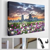 Nederland landschap met prachtige violette en witte tulpen bloemen. Hollandse molens, watermolenhuizen bij het kanaal in de Zaanse Schans ansichtkaart - Modern Art Canvas - Horizontaal - 1481242091
