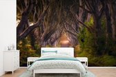 Behang - Fotobehang Natuur - Bospad - Sprookjesboom - pad met bomen - Lente - Breedte 420 cm x hoogte 280 cm - Behangpapier