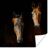 Akhal-Teke hengsten poster papier 100x100 cm - Foto print op Poster (wanddecoratie woonkamer / slaapkamer) / Boerderijdieren Poster