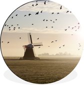WallCircle - Wandcirkel - Muurcirkel - Ganzen boven een windmolen in Nederland - Aluminium - Dibond - ⌀ 140 cm - Binnen en Buiten