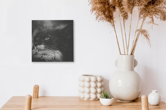 Tableau sur toile Profil animal chat de face en noir et blanc - 20x20 cm - Décoration murale
