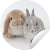 Wallpaper Circle - Lapins - Fourrure - Wit - ⌀ 120 cm - Wall Circle XXL