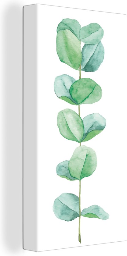 Canvas Schilderij Waterverf - Eucalyptus - Plant - 40x80 cm - Wanddecoratie