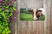 Affiche de jardin Vache - Nature - Autriche - 60x30 cm