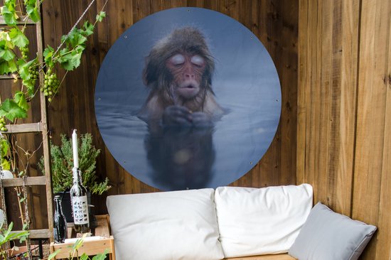 Garden Circle Snow Monkey Blue Water - 120x120 cm - Affiche de Jardin Ronde - Extérieur - XXL