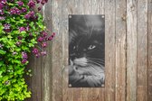 Tuinposter Dierenprofiel opzij kijkende kat in zwart-wit - 30x60 cm - Tuindoek - Buitenposter