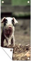 Poster de jardin Cochon - Ecurie - Bébé - 40x80 cm - Décoration murale Extérieur - Poster de jardin - Toile de jardin - Poster de clôture - Tableau de jardin