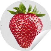 Tuincirkel Aardbei - Fruit - Wit - 60x60 cm - Ronde Tuinposter - Buiten
