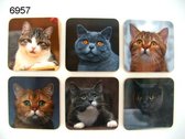 Mooie onderzetters - Set van 6 - Katten/Poezen - Kurk/kunststof
