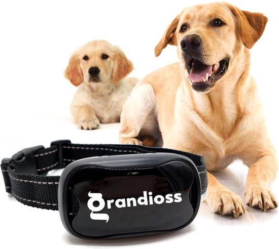 Grandioss® Blafband voor Honden – Anti Blafband - Diervriendelijk - Honden  blaftrainer... | bol.com