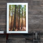 Grossfillex zelfklevende wandbekleding | Accent Sequoia