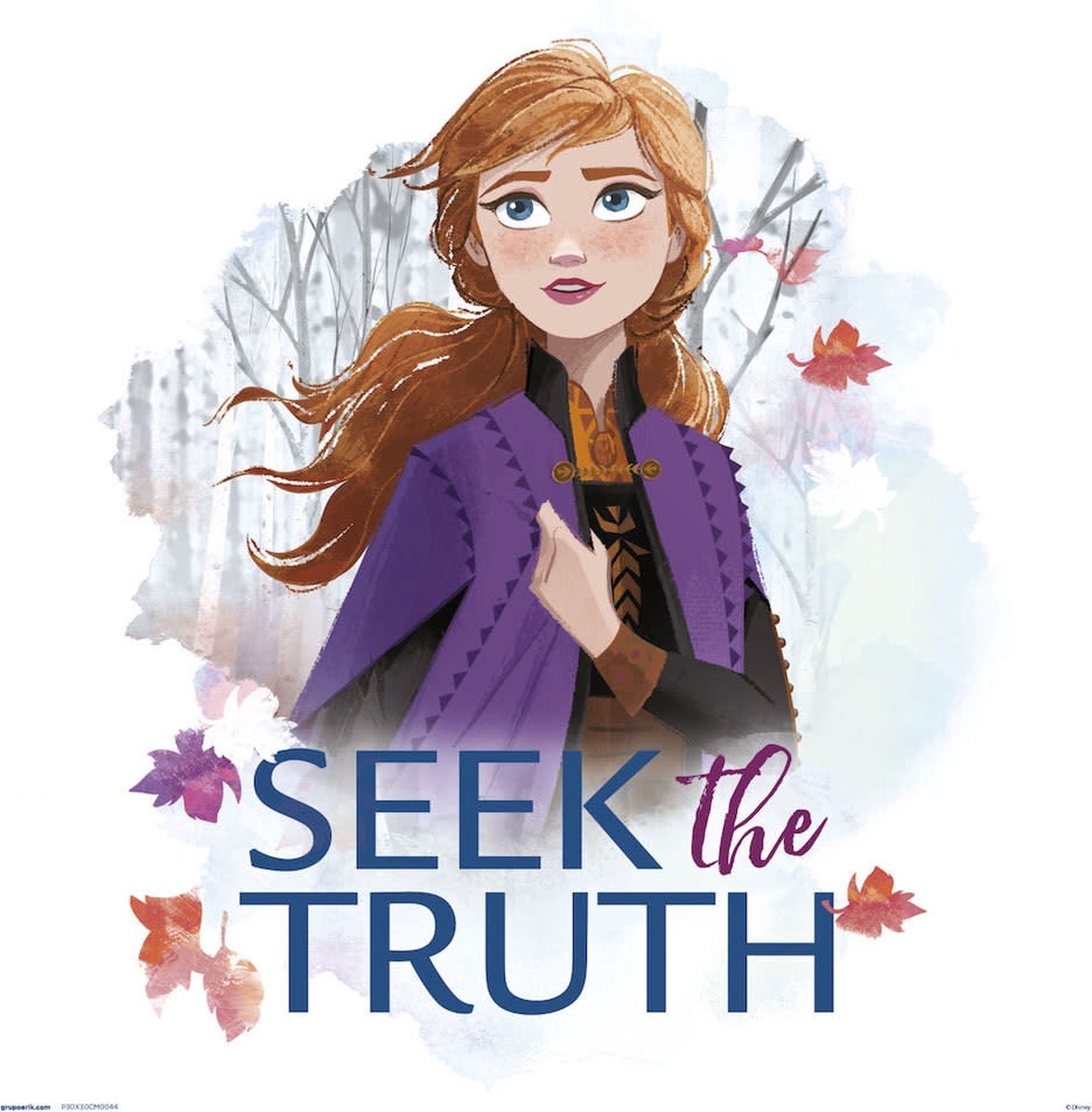 Grupo Erik DISNEY FROZEN SEEK THE TRUTH - Art Collector Print 30x30 cm