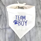 Gender reveal honden bandana Team Boy - genderreveal - babyshower - hond - bandana