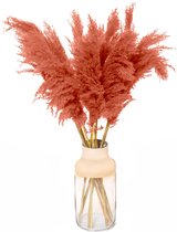 Pampas Pluimen - Droogbloemen - 5 stuks - Rood Bruin - Pampas Gras - Fluffy Pluimen - 90cm